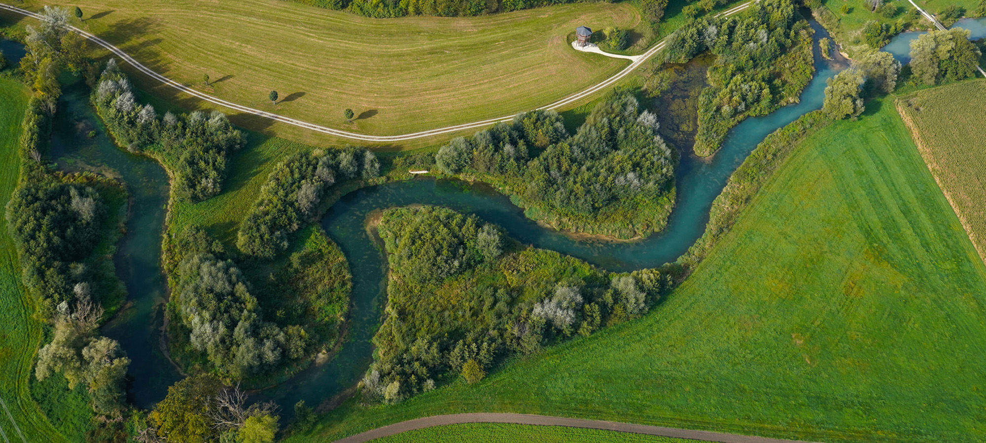 Brenzrenaturierung bei Hermaringen